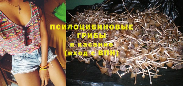 стафф Алзамай