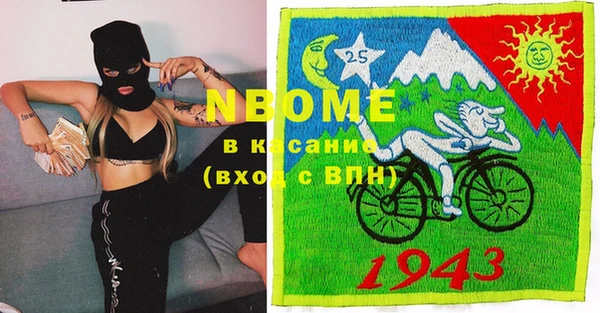 ГАЛЛЮЦИНОГЕННЫЕ ГРИБЫ Ельня