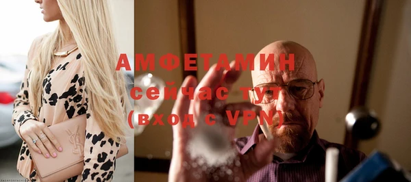 стафф Алзамай