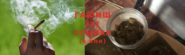 стафф Алзамай