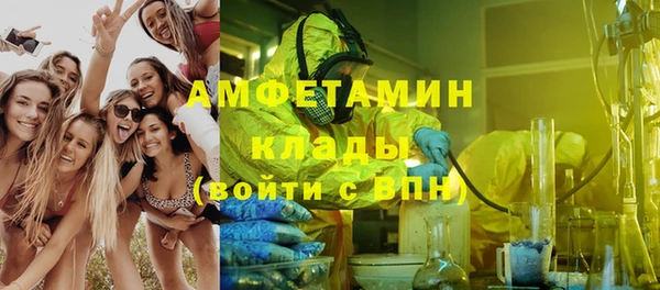 стафф Алзамай