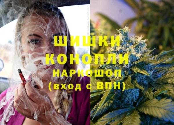 крисы Елизово