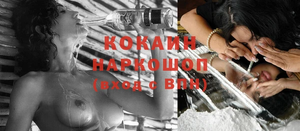 стафф Алзамай