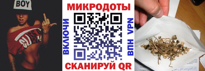 Галлюциногенные грибы MAGIC MUSHROOMS Геленджик